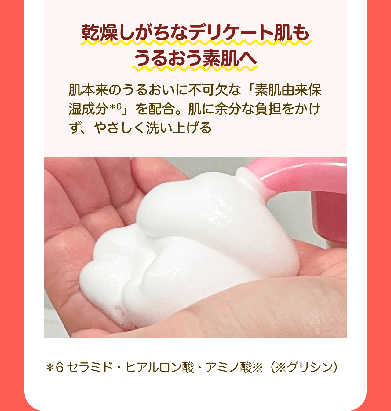 乾燥しがちなデリケート肌もうるおう素肌へ 肌本来のうるおいに不可欠な「素肌由来保湿成分*6」を配合。肌に余分な負担をかけず、やさしく洗い上げる *6 セラミド・ヒアルロン酸・アミノ酸※（※グリシン）