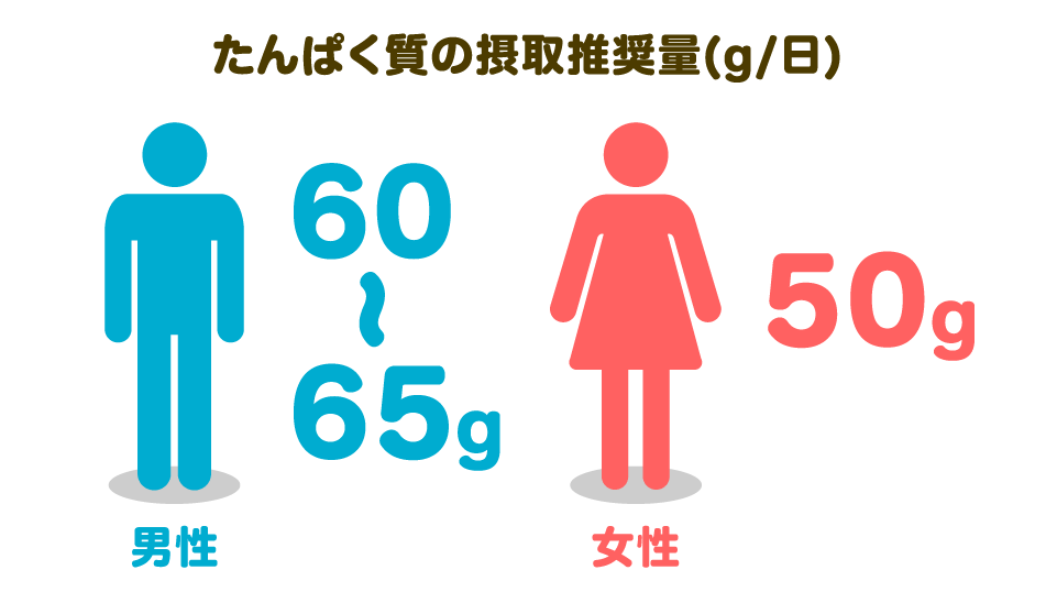 たんぱく質の摂取推奨量(g/日) 男性60~65g 女性50g