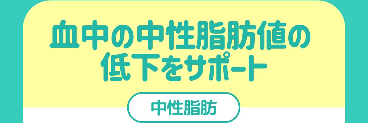 血中の中性脂肪値の低下をサポート 中性脂肪